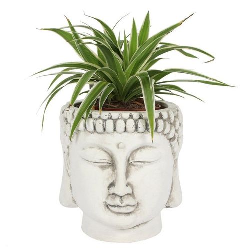 White Terracotta Buddha Head Planter 🇬🇧