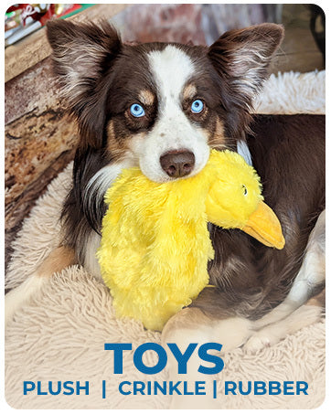 Best Pet Supplies Dog Toys For Small Medium And Large Breeds Cute No-Stuffed And Stuffed Duck With Soft Squeaky Fun For Indoor Puppies And Premium Puppies Plush No Mess Chewing And Playing 🇨🇳