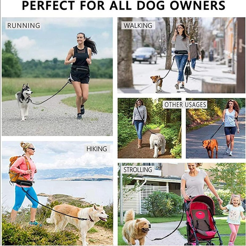 Hands Free Dog Leash Pet Walking And Training Belt With Shock Absorbing Bungee Leash For Up To 180lbs Large Dogs Phone Pocket And Water Bottle Holder 🇨🇳