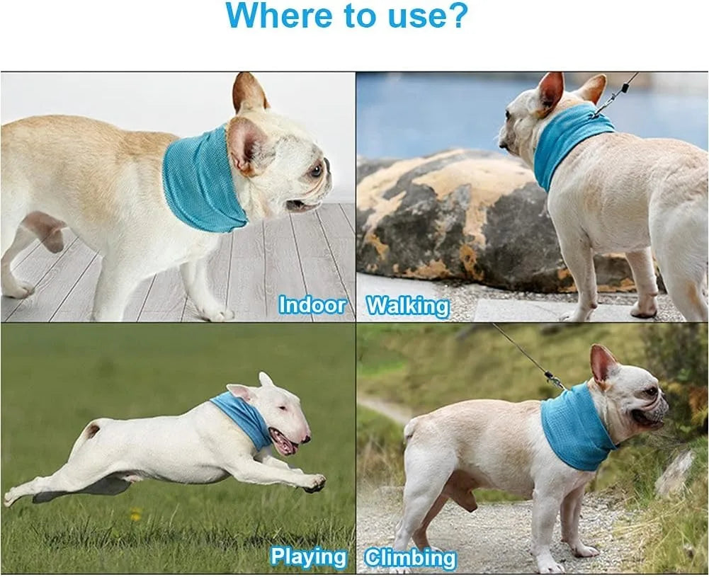 Dog Cooling Bandana Ice Pet Cooling Collar for Hiking Traveling Pet Supplies 🇨🇳