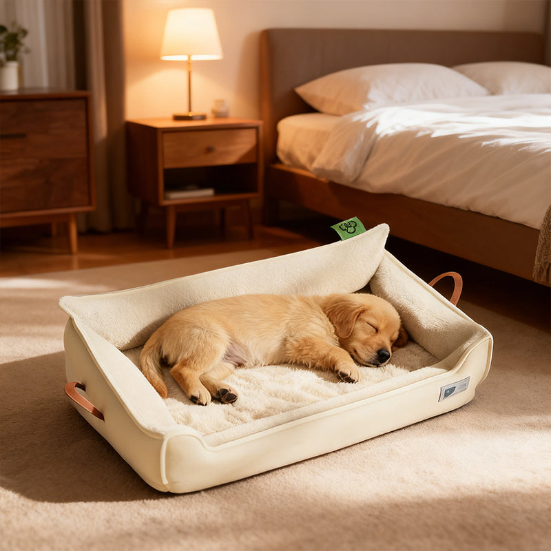 Heavy-Duty All-Weather Dog House: Chew-Resistant, Portable & Washable for Medium/Large Dogs 🇨🇳