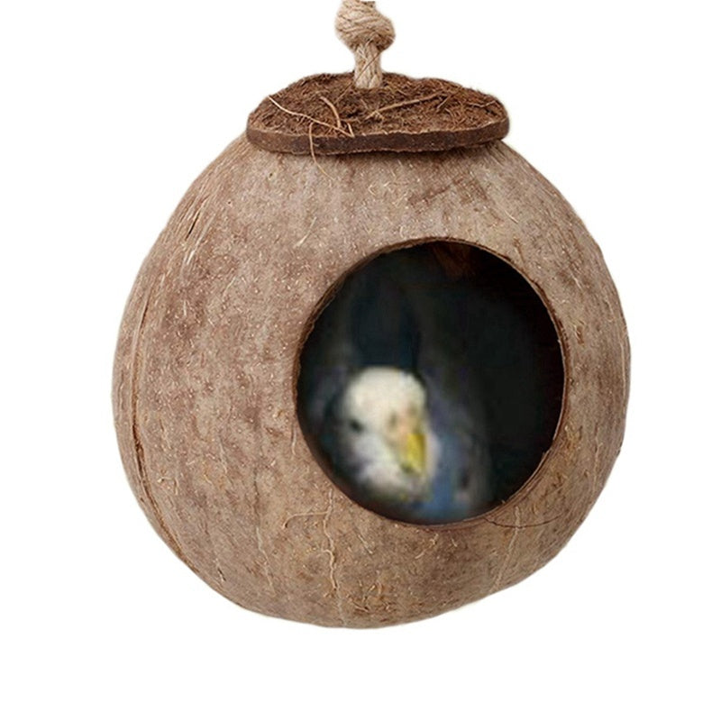 Natural coconut shell bird nest 🇨🇳