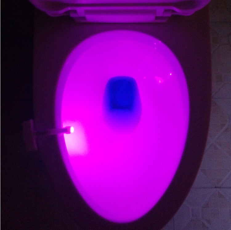 Toilet Induction LED Night Light 🇨🇳