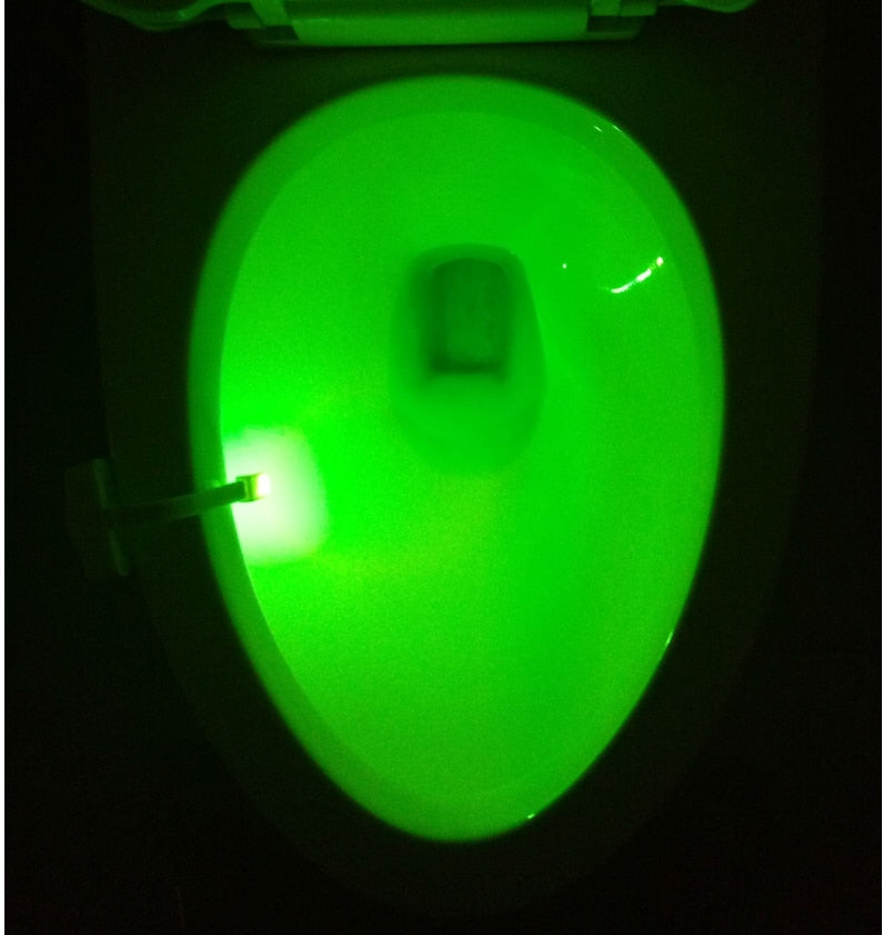 Toilet Induction LED Night Light 🇨🇳
