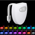 Toilet Induction LED Night Light 🇨🇳