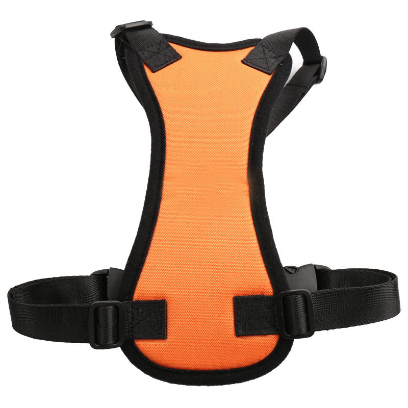 Car seat belts for pets 🇨🇳