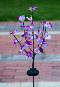 Ground Plug Courtyard Garden Decorative Lights 🇨🇳