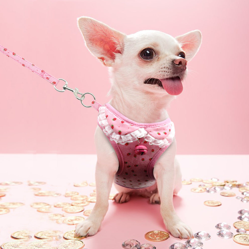 Chest harness pink bell dog leash small dog dog harness 🇨🇳