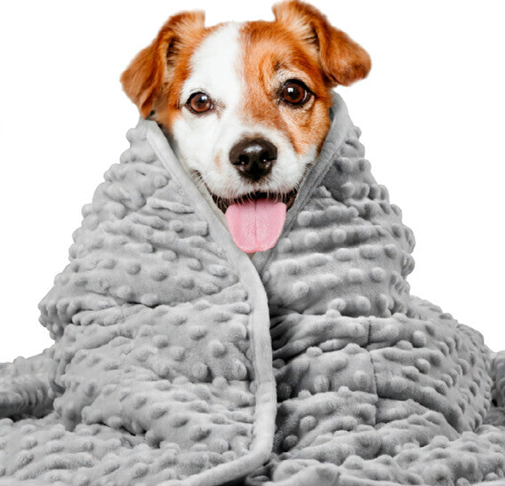 Pet Dog Washable Anxiety Thunder Blanket 🇨🇳
