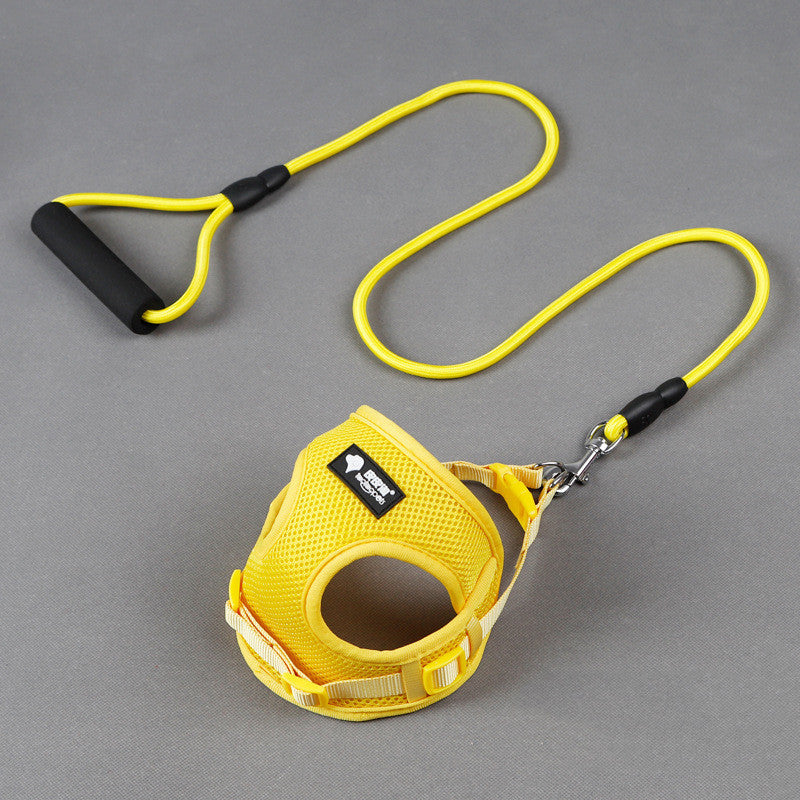 Dog leash dog leash dog collar 🇨🇳