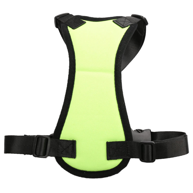 Car seat belts for pets 🇨🇳