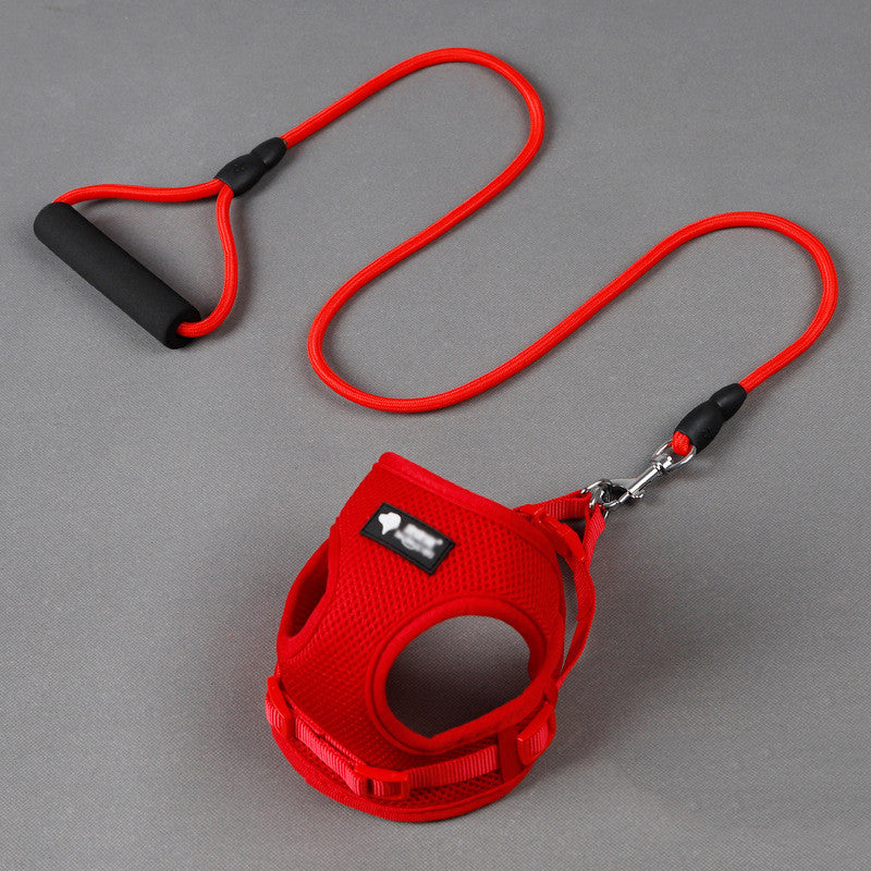 Dog leash dog leash dog collar 🇨🇳