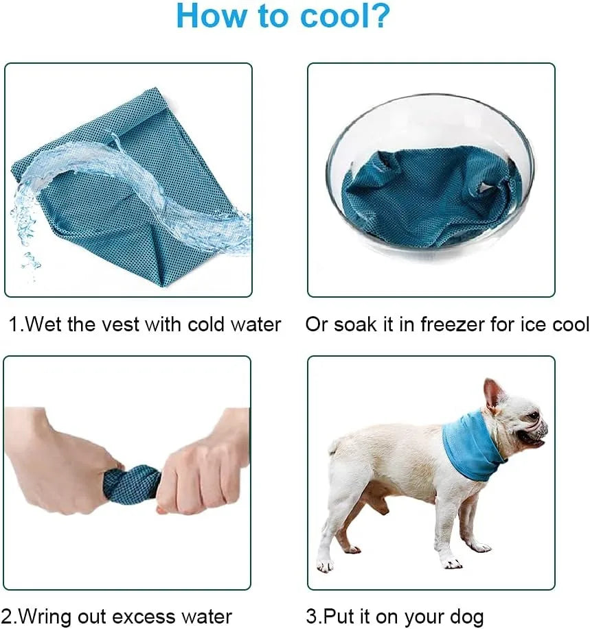 Dog Cooling Bandana Ice Pet Cooling Collar for Hiking Traveling Pet Supplies 🇨🇳