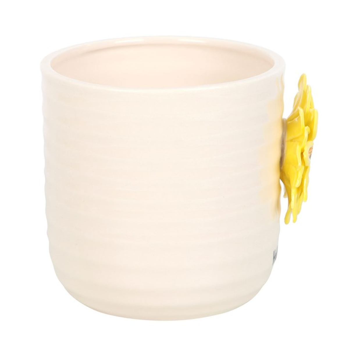 Hello Sunshine Plant Pot with 3D Sunflower 🇬🇧
