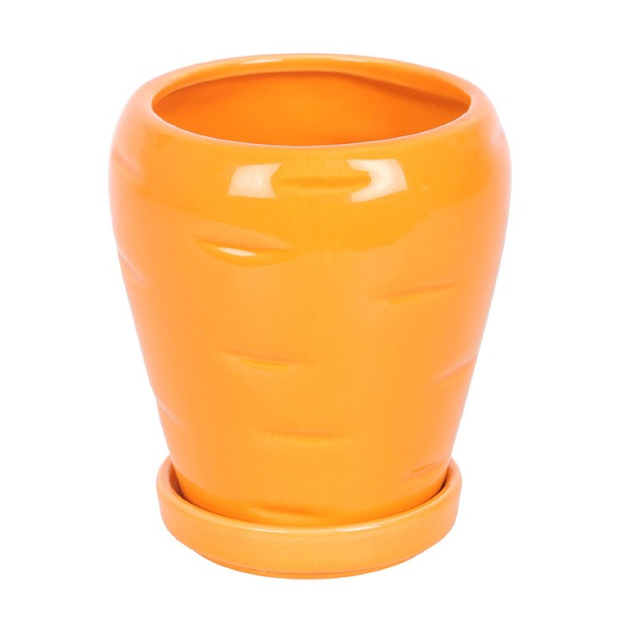 Carrot Shaped Plant Pot with Parsley Seed Balls 🇬🇧