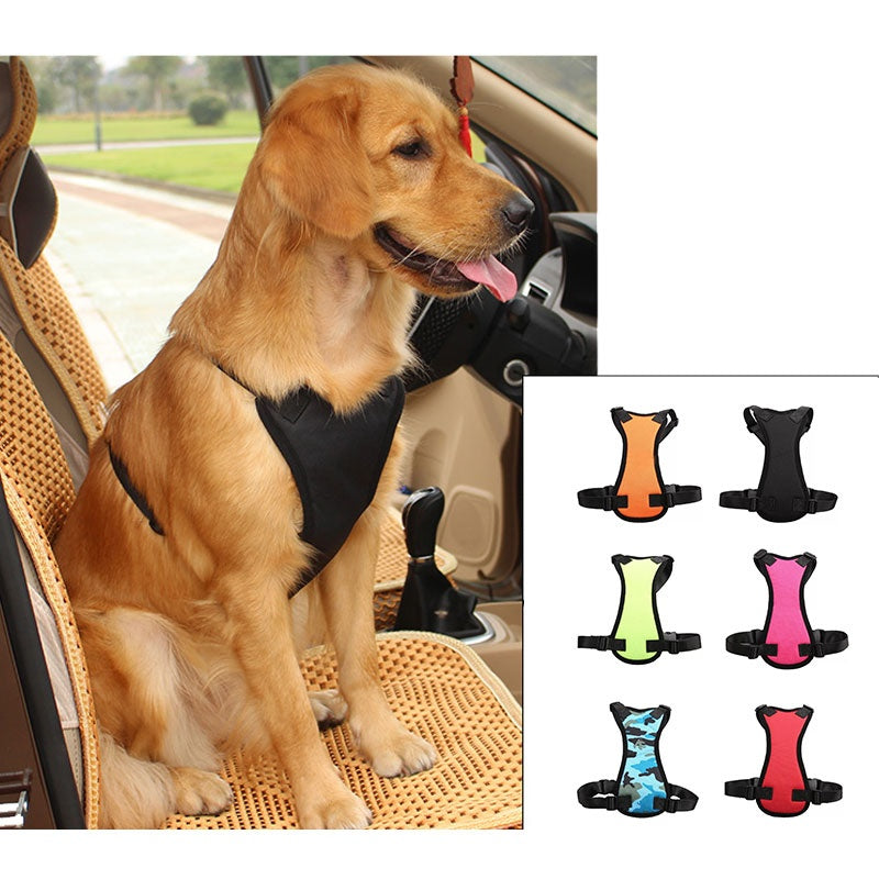 Car seat belts for pets 🇨🇳