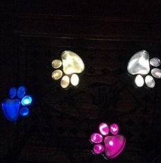 Solar Powered Animal Paw Print Lights LED Solar Lamps Garden 🇨🇳