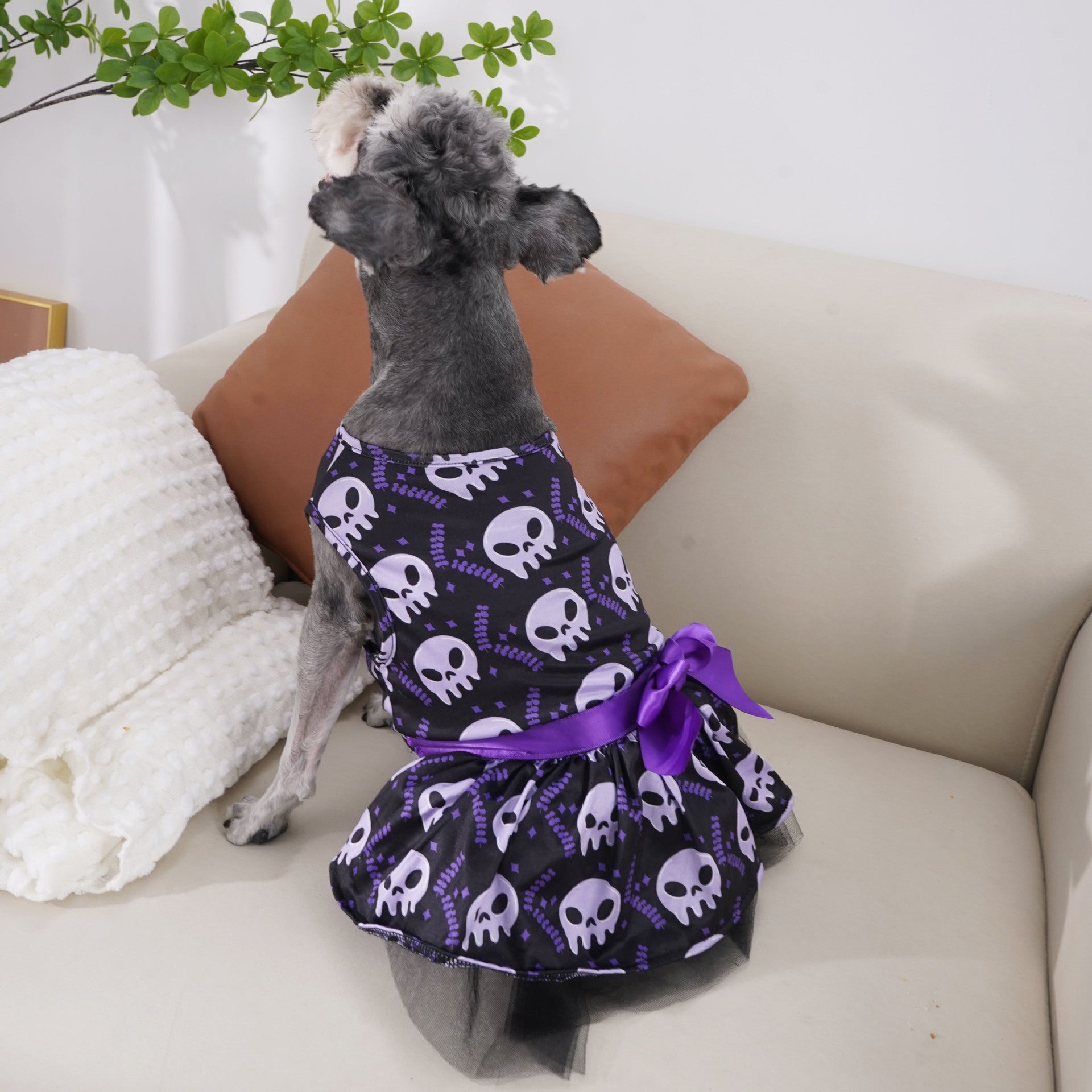 Pet Dog Halloween Clothes 🇨🇳