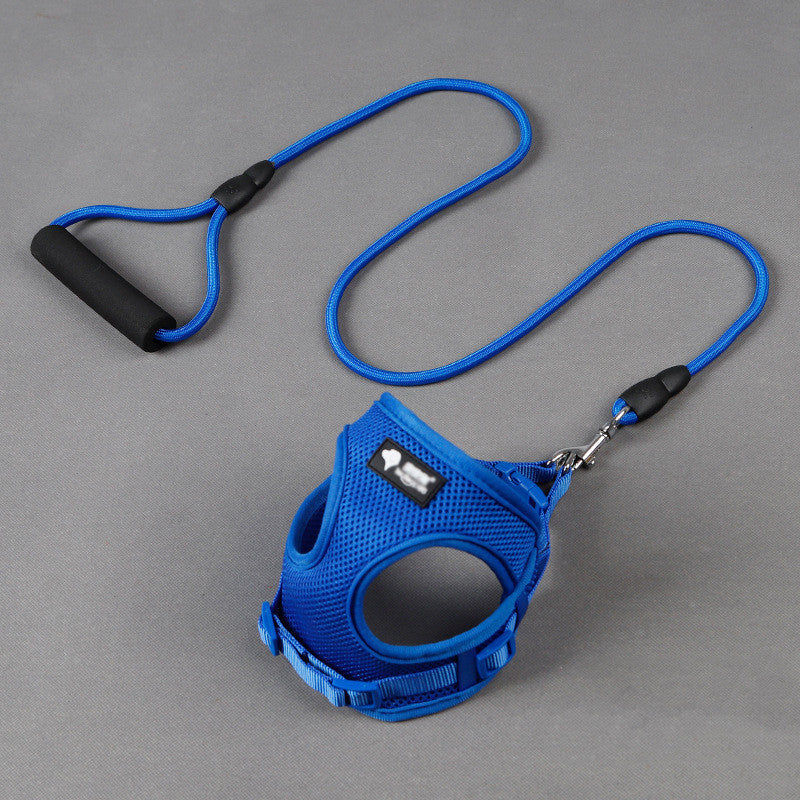 Dog leash dog leash dog collar 🇨🇳
