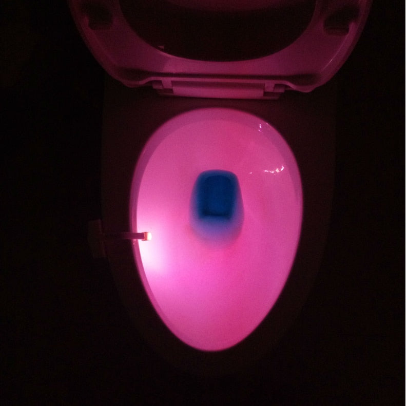 Toilet Induction LED Night Light 🇨🇳