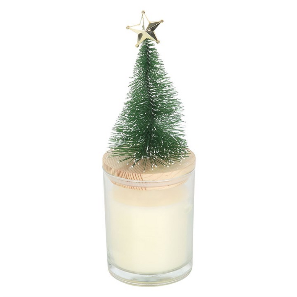 Holly Jolly Pine & Fir Glass Candle with Tree 🇬🇧
