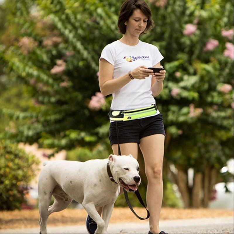 Hands Free Dog Leash Pet Walking And Training Belt With Shock Absorbing Bungee Leash For Up To 180lbs Large Dogs Phone Pocket And Water Bottle Holder 🇨🇳