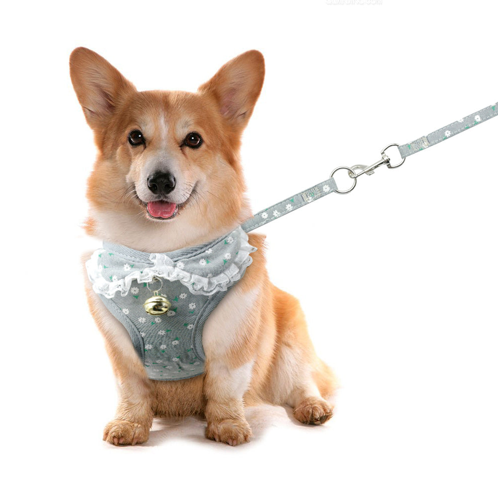 Chest harness pink bell dog leash small dog dog harness 🇨🇳