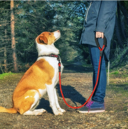 Reflective Dog Leash Nylon Pet Dog Leash Rope For Small Medium Large Dogs Walking Training Pet Suppiles 🇨🇳