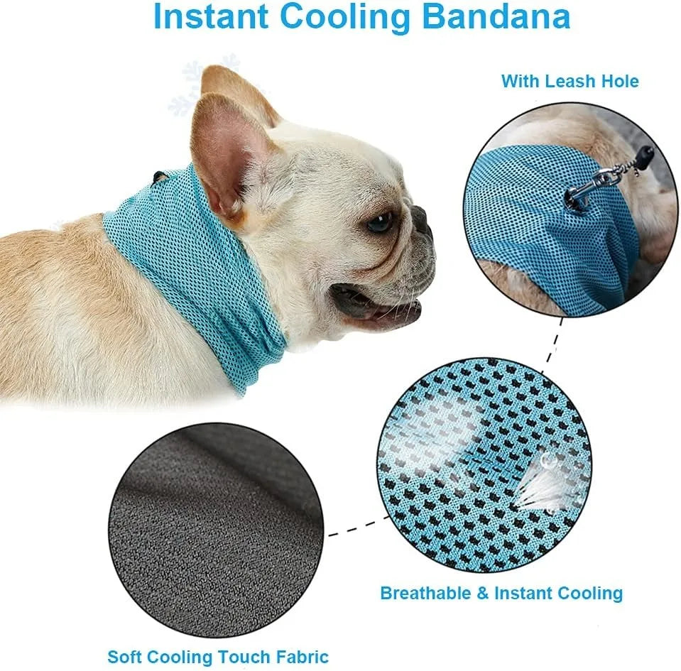 Dog Cooling Bandana Ice Pet Cooling Collar for Hiking Traveling Pet Supplies 🇨🇳