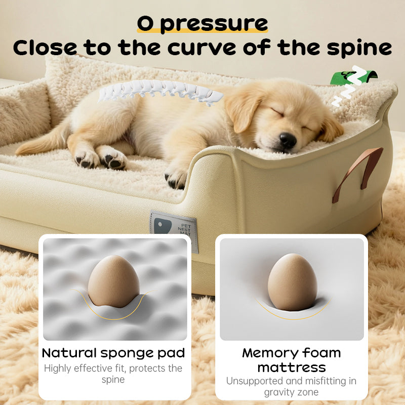 Heavy-Duty All-Weather Dog House: Chew-Resistant, Portable & Washable for Medium/Large Dogs 🇨🇳