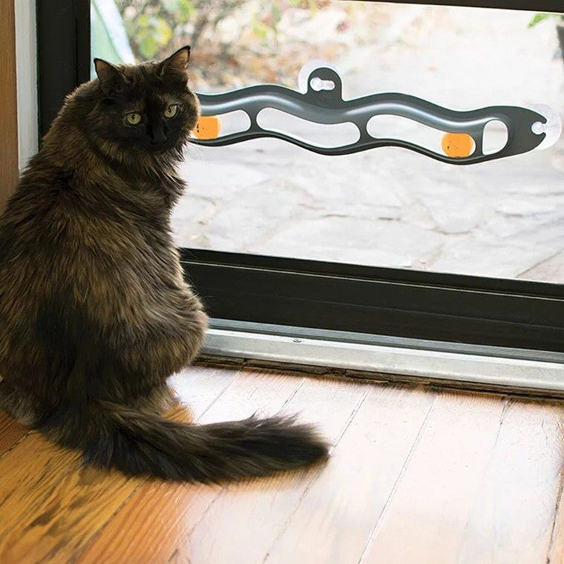 Windowsill Pets Toy Cat Track Ball Pet Products 🇨🇳