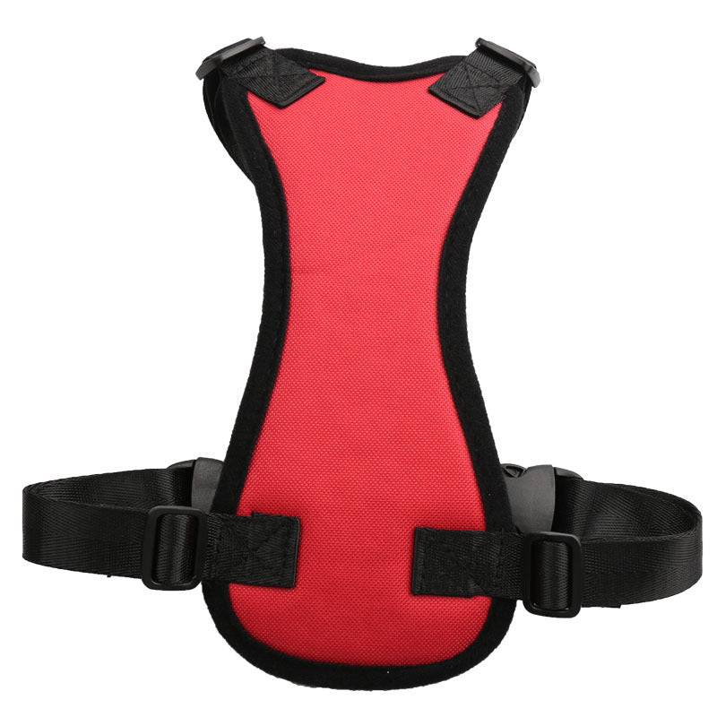 Car seat belts for pets 🇨🇳