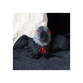 Raven Plush Toy