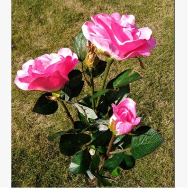 Solar rose lamp 3LED plug in the sun nen light garden garden light lawn light 🇨🇳