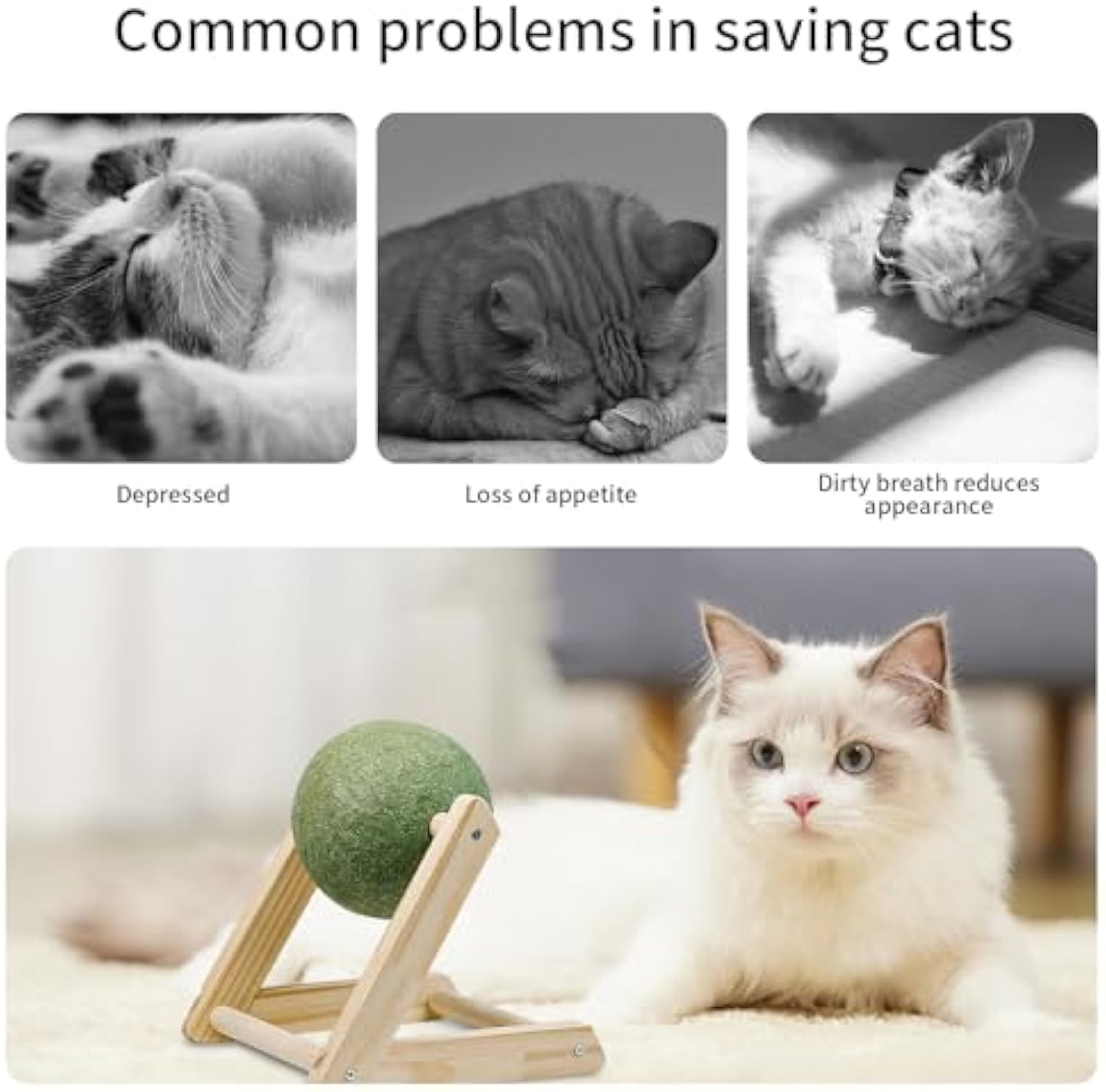 Cat Nip For Cats Safe Healthy Cat Nip Toys Giant Catnip Ball With Holder 🇨🇳