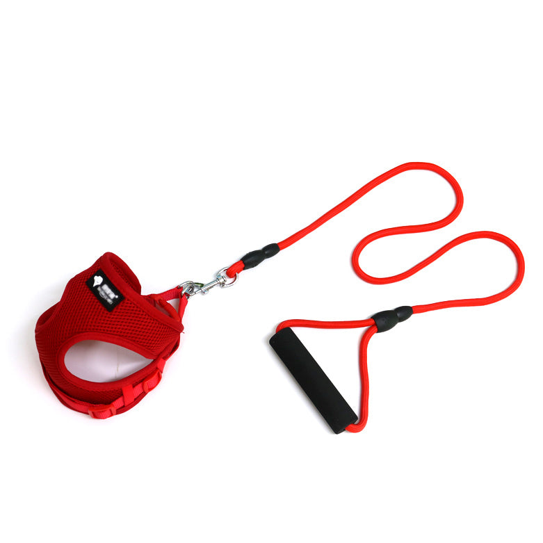 Dog leash dog leash dog collar 🇨🇳