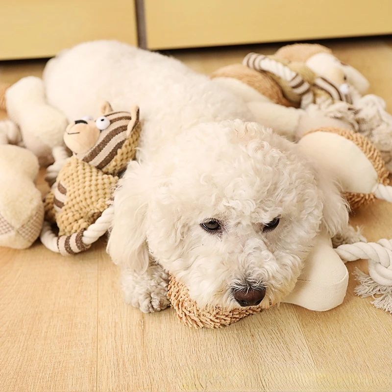 Pet Cotton Rope Toy Dog Sound Molar Teeth Cleaner Bite-resistant Rope Knot 🇨🇳