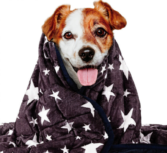 Pet Dog Washable Anxiety Thunder Blanket 🇨🇳
