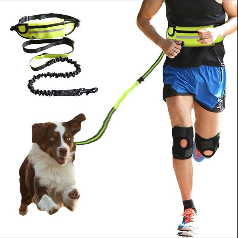 Hands Free Dog Leash Pet Walking And Training Belt With Shock Absorbing Bungee Leash For Up To 180lbs Large Dogs Phone Pocket And Water Bottle Holder 🇨🇳