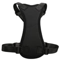 Car seat belts for pets 🇨🇳