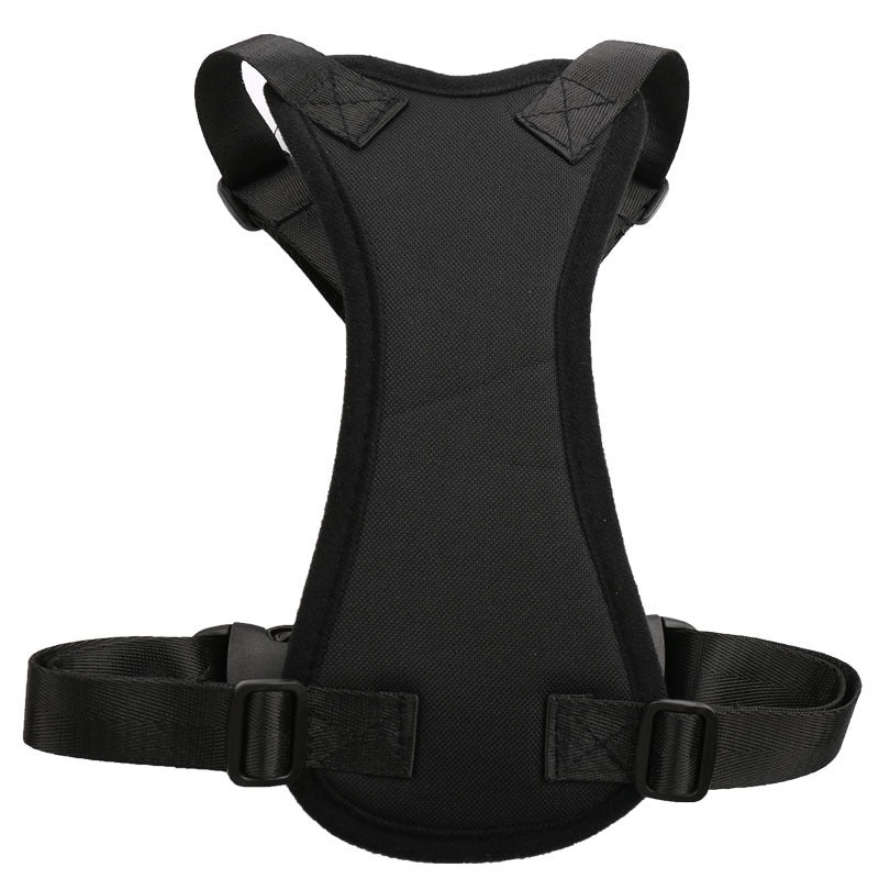 Car seat belts for pets 🇨🇳