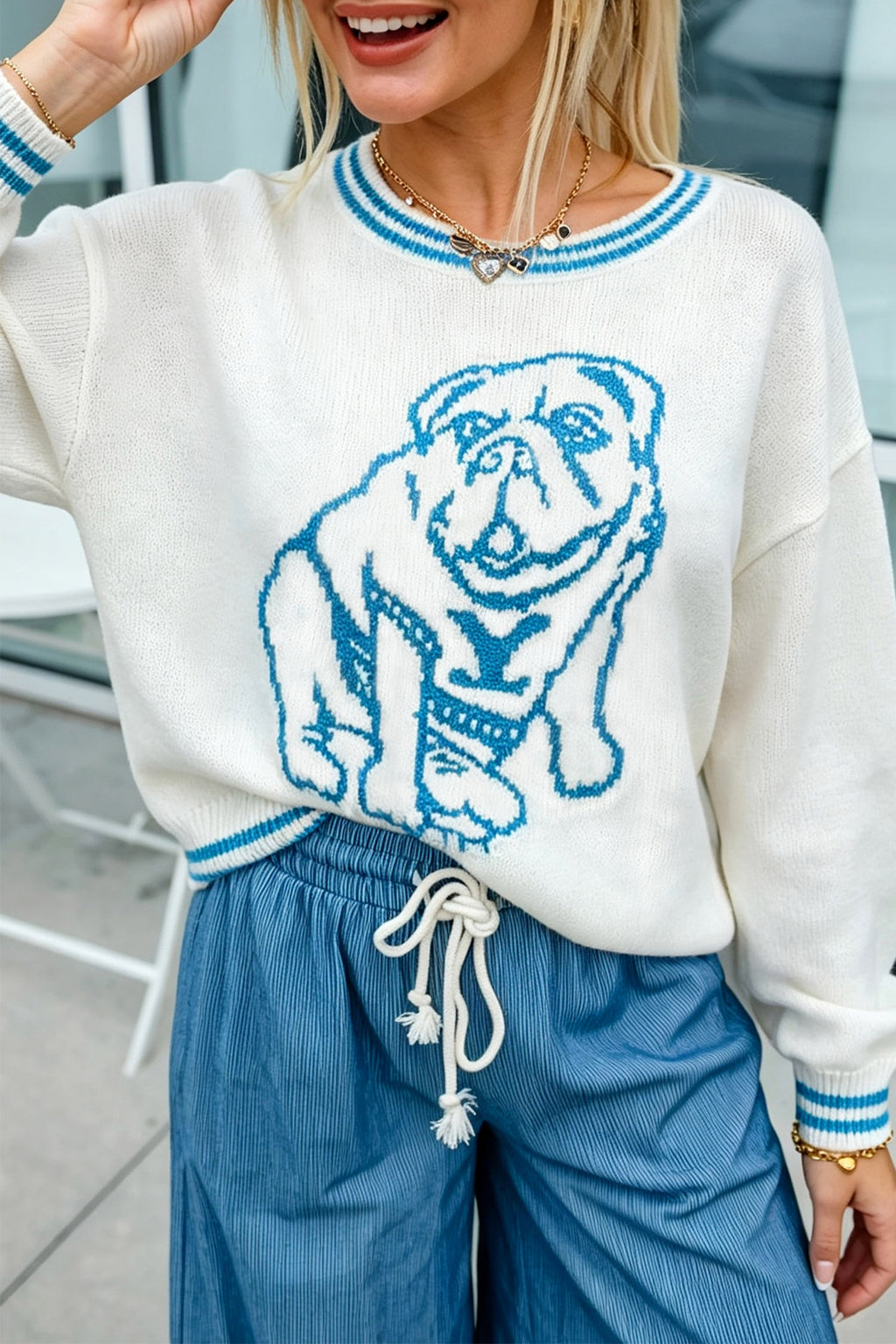 Light Blue Bulldog Contrast Trim Round Neck Casual Sweater 🇺🇸
