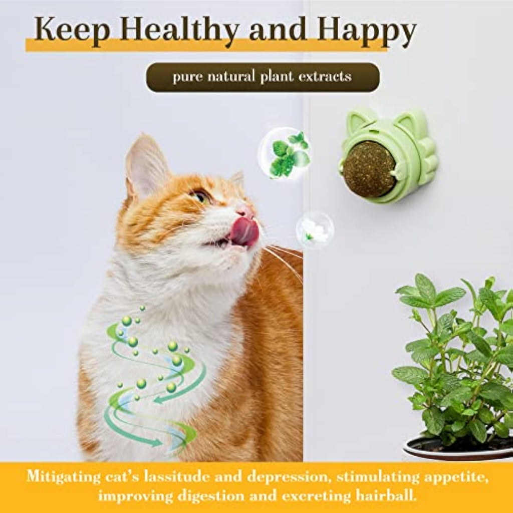 Catnip Balls That Stick On Wall Treats 🇨🇳