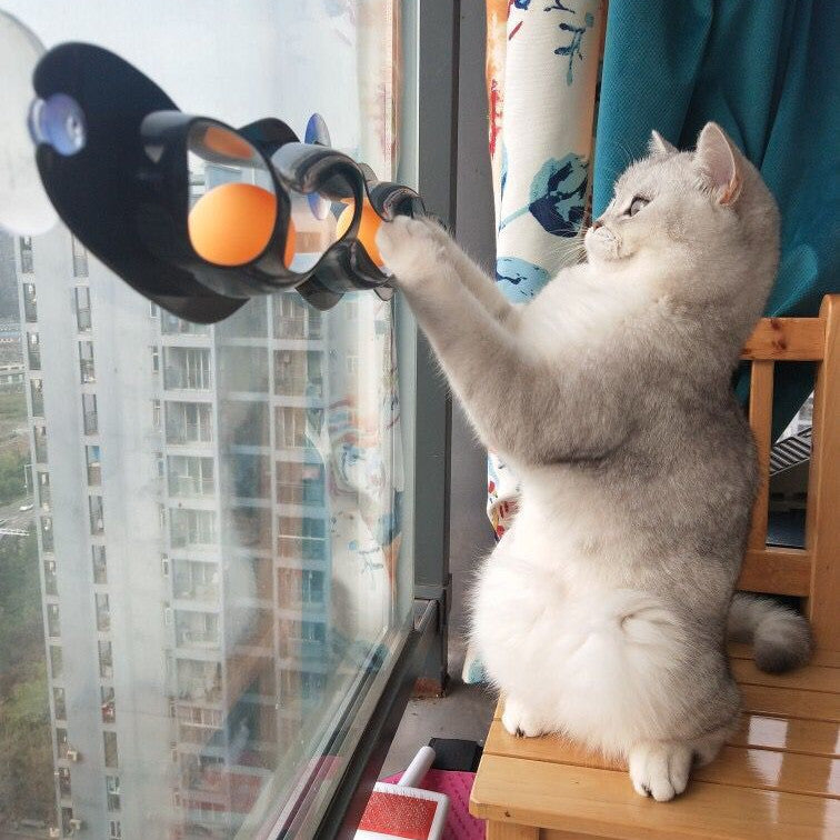 Windowsill Pets Toy Cat Track Ball Pet Products 🇨🇳