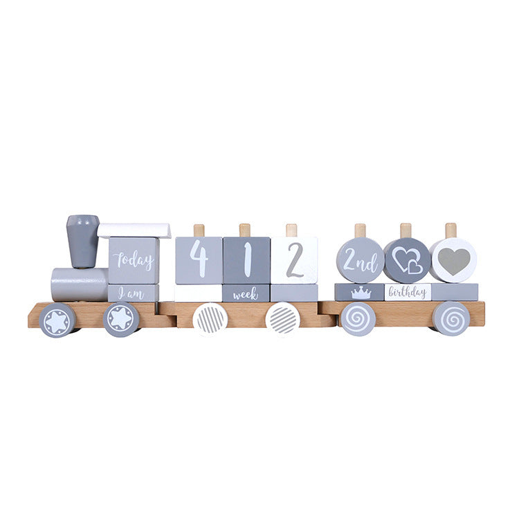 Fashion Small Train Early Education Wooden Toys 🇨🇳