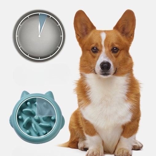 Pet Dog Cat Slow Feeder Bowls Anti Choking Slow Feeder Dish Bowl Home Dog Eating Plate Anti Gulping Bowl Supplies 🇨🇳