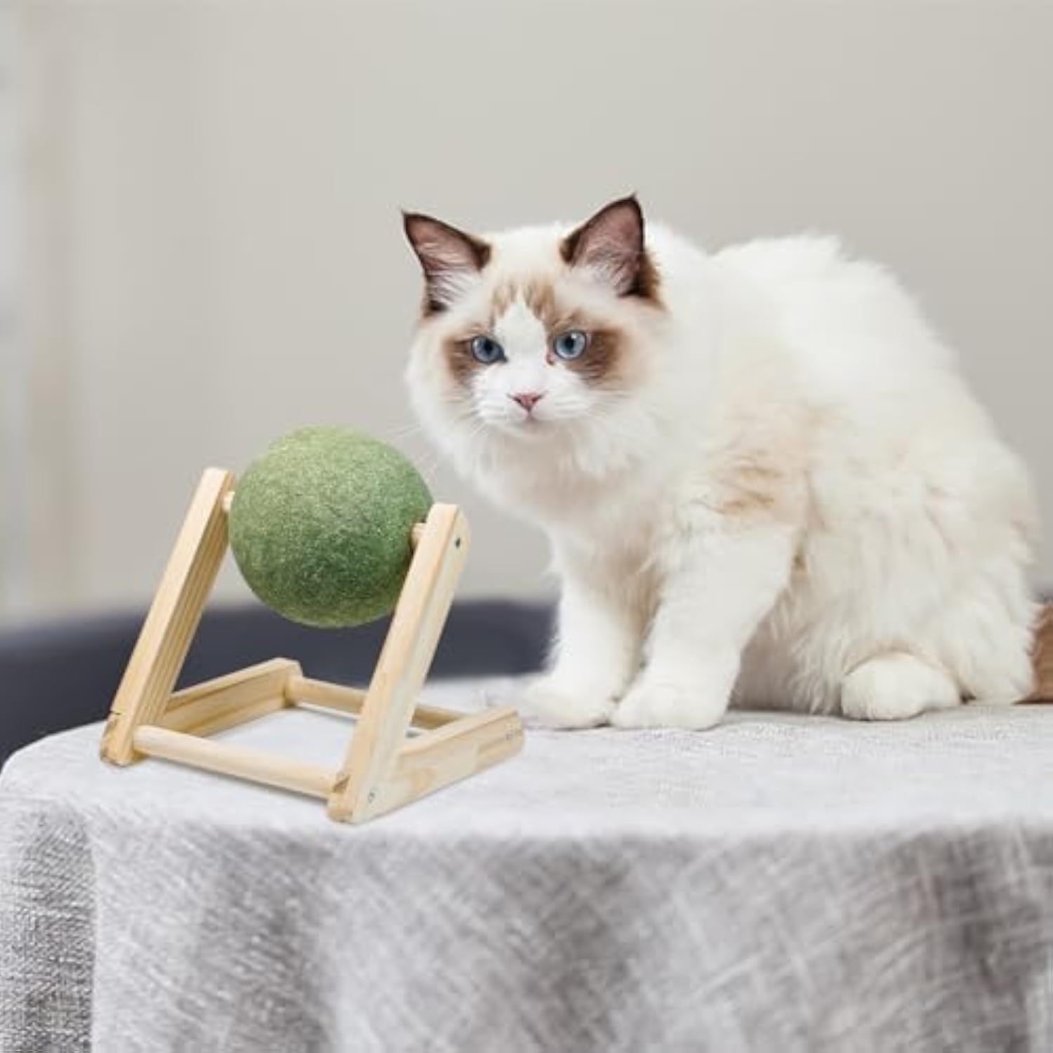 Cat Nip For Cats Safe Healthy Cat Nip Toys Giant Catnip Ball With Holder 🇨🇳