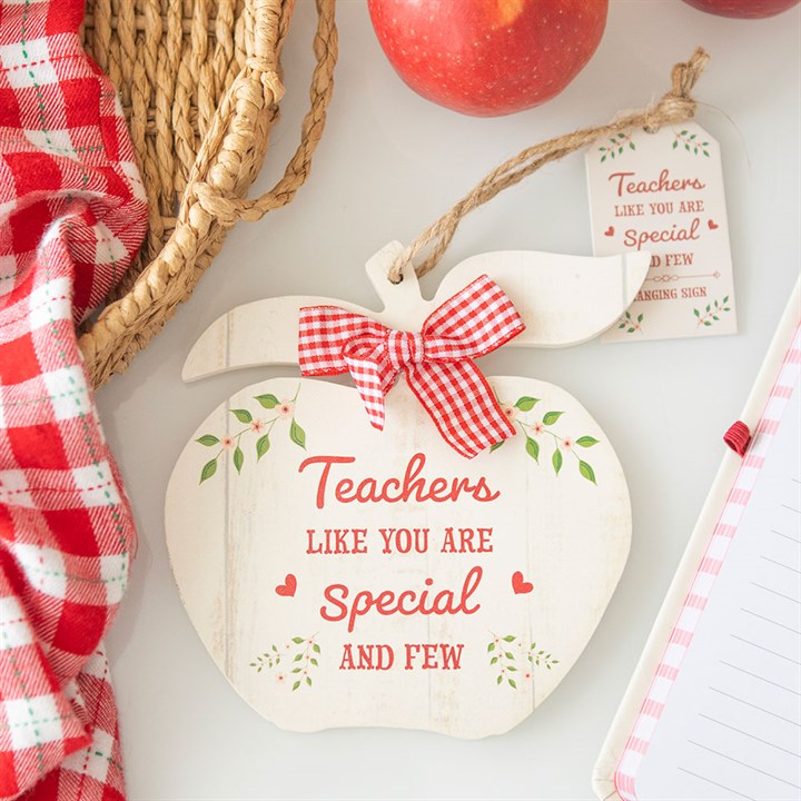 Teachers Like You Apple Hanging Decoration 🇬🇧