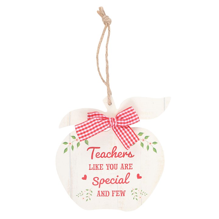 Teachers Like You Apple Hanging Decoration 🇬🇧