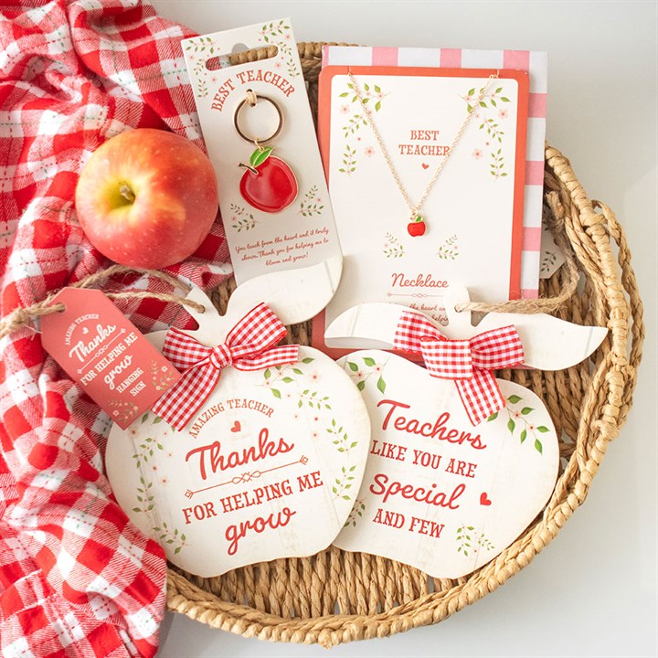 Teachers Like You Apple Hanging Decoration 🇬🇧